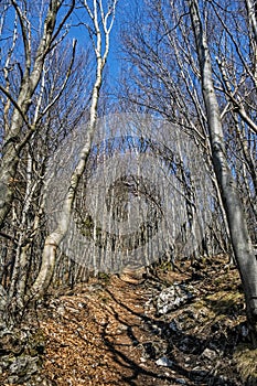 Footpath to the Sip peak, Big Fatra mountains, Slovakia