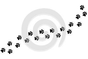Footpath trail of animal. Dog or cat paws print vector isolated on white background. Trail footpath wildlife, footprint silhouette
