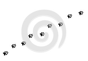 Footpath trail of animal. Dog or cat paws walking randomly print vector isolated on white background. Trail footpath