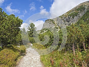 Chodník zo štrbského plesa, krásna príroda s borovicami a skalnatým horským štítom, vysoké tatry, slovensko, neskorá