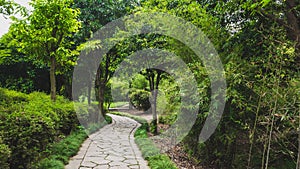 Footpath between trees in Lanting Orchid Pavilion scenic area, Shaoxing, China photo