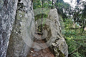 Footpath between two massive rocks on the Sentiers des Roches in the Vosges