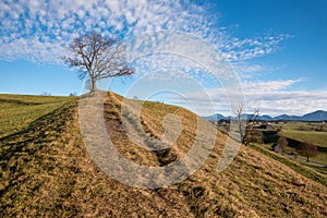 Footpath up the hill, blue sky and fleecy clouds, alpine foothills bavaria