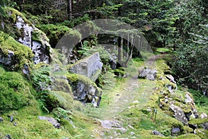 Footpath in the valley of Munster in Alsace