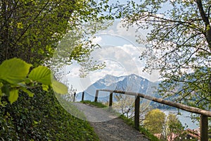 Footpath at Weinberg hill, view to Brecherspitze mountain, spring landscape Schliersee