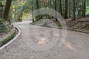 Footpath winding through forest at Kasuga Taisha Shrine in Nara, Japan