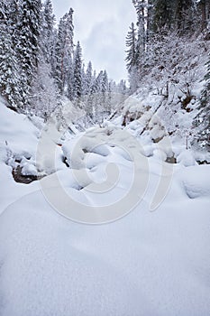 Footpath in winter taiga forest under heavy snow along Tevenek river on the bank of Teletskoe lake. Altai