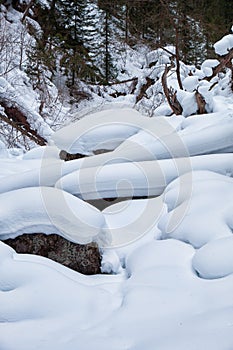 Footpath in winter taiga forest under heavy snow along Tevenek river on the bank of Teletskoe lake. Altai photo