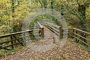 Footpath and wooden bridge with balustrade over small forest gully