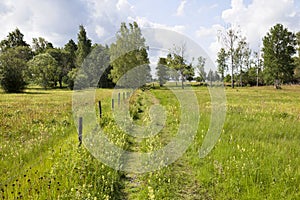 Footpaths on a meadow