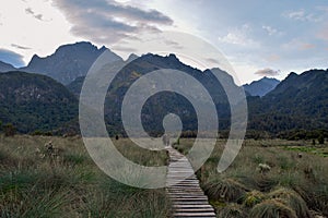 The footpaths of Rwenzori Mountains, Uganda photo