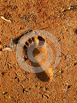 Footprint