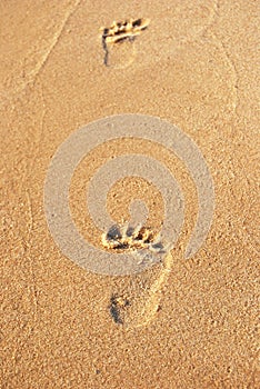 footprint