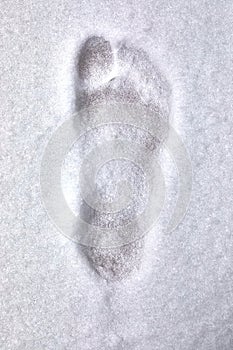 Footprint barefoot in snow