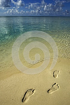 Footprint on beach