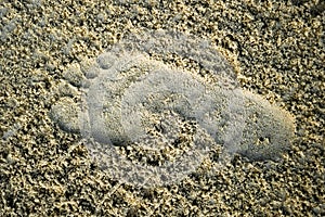 Footprint on the beach created inside white sand