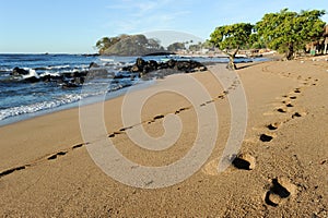 Footprint on the beach of Los Cobanos