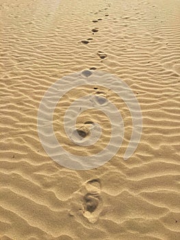 Footprint on the beach, St. Andrews