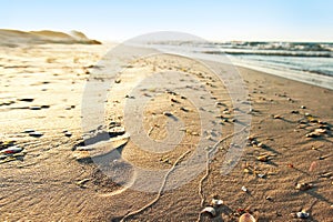 Footprint on the beachsand