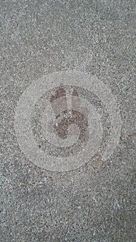 Footprint of a critter