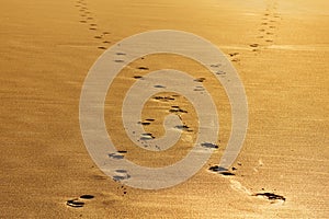 Footprint crossroad on sand