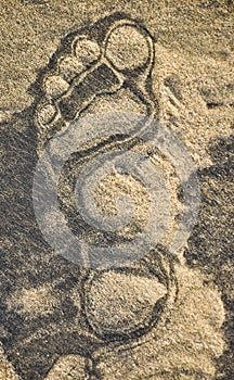 Footprint on the dark and light sand