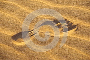 Footprint in the desert
