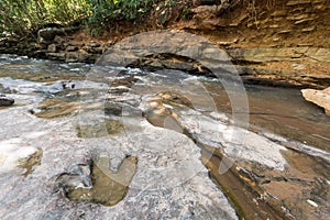 Footprint of dinosaur Carnotaurus on ground near stream at Phu Faek national forest park , Kalasin ,Thailand . Water logged on