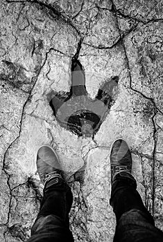 Footprint of dinosaur