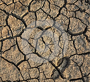 footprint in the draught cracked ground