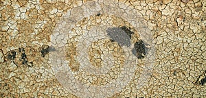 Footprint in dry cracked soil ground