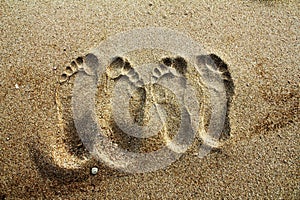 Footprint from European and Asian