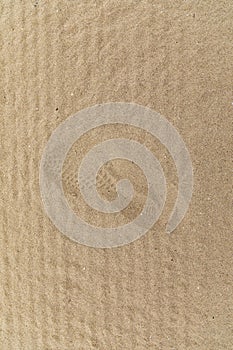 A Footprint in Golden Sand at a Beach