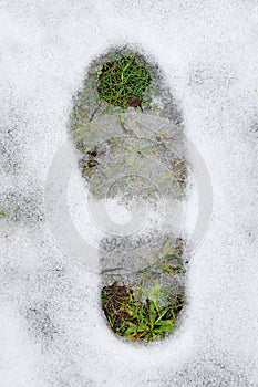 Footprint and green grass under snow