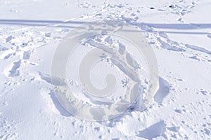 Footprint and hands on snow