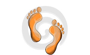 Footprint, human body part scelet