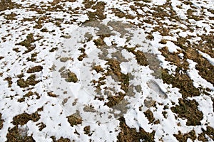 Footprint of a human in the snow in mountains after Winter in Spring