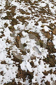 Footprint of a human in the snow in mountains after Winter in Spring