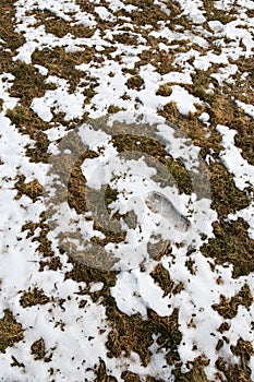 Footprint of a human in the snow in mountains after Winter in Spring