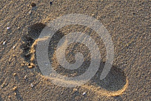 Footprint of a man on the wet sand. Rest on the sea beach