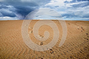 Footprint over the sand
