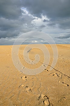 Footprint over the sand
