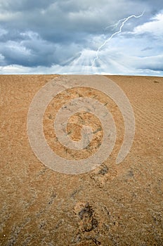 Footprint over the sand