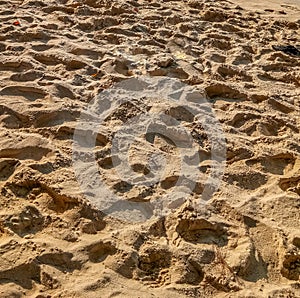 Footprint over the sand