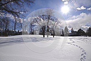 The footprint on the park with snow covering in the winter