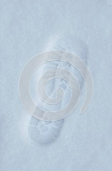 Footprint in pure snow