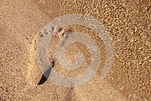 Footprint in the sand