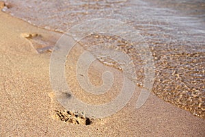 Footprint in the sand