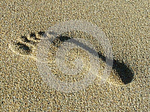 Footprint in Sand