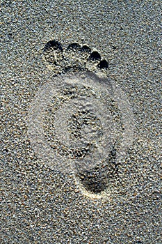 Footprint in the sand